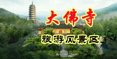 变天就操美女逼中国浙江-新昌大佛寺旅游风景区